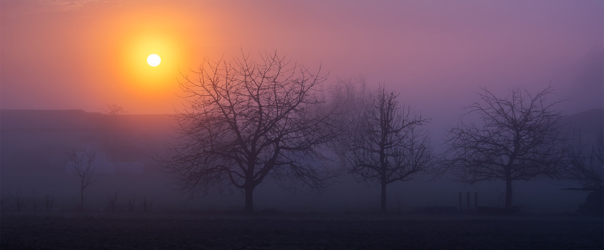 background-desktop